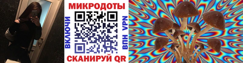 Псилоцибиновые грибы Cubensis  Купить где  Ясный 
